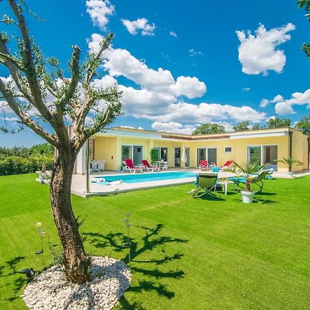 Villa Vita וילה *
